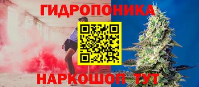 jwh Будённовск